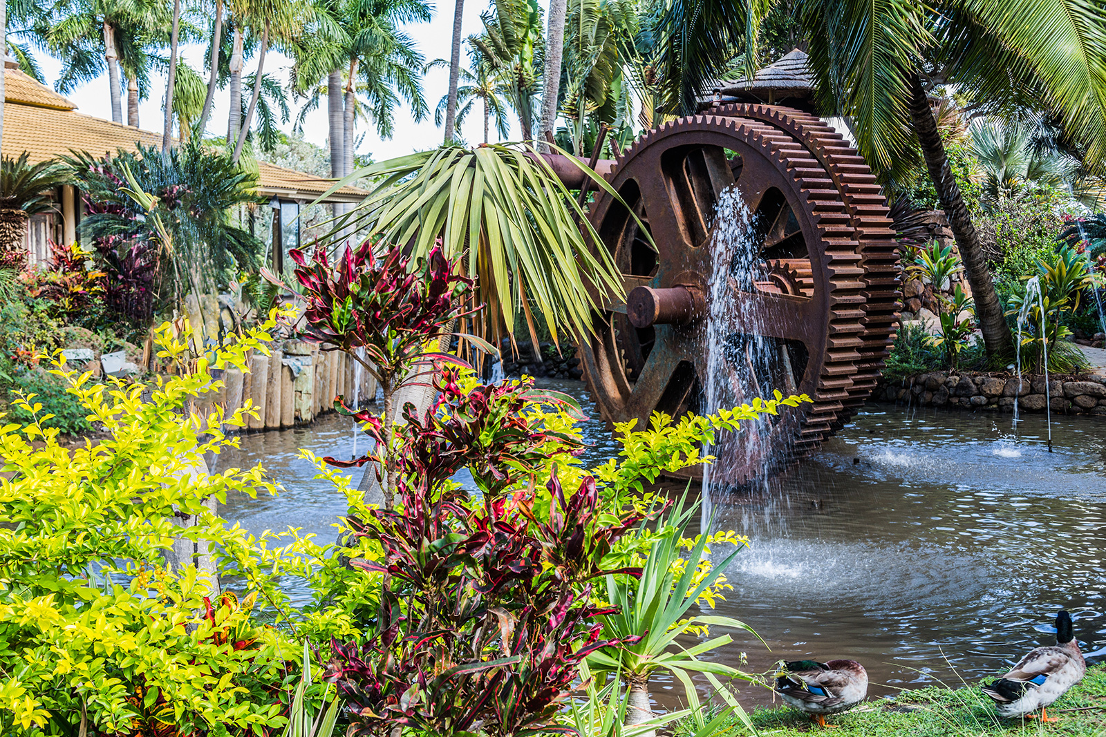 Water Management - Irrigation - Treasure Valley Landscape