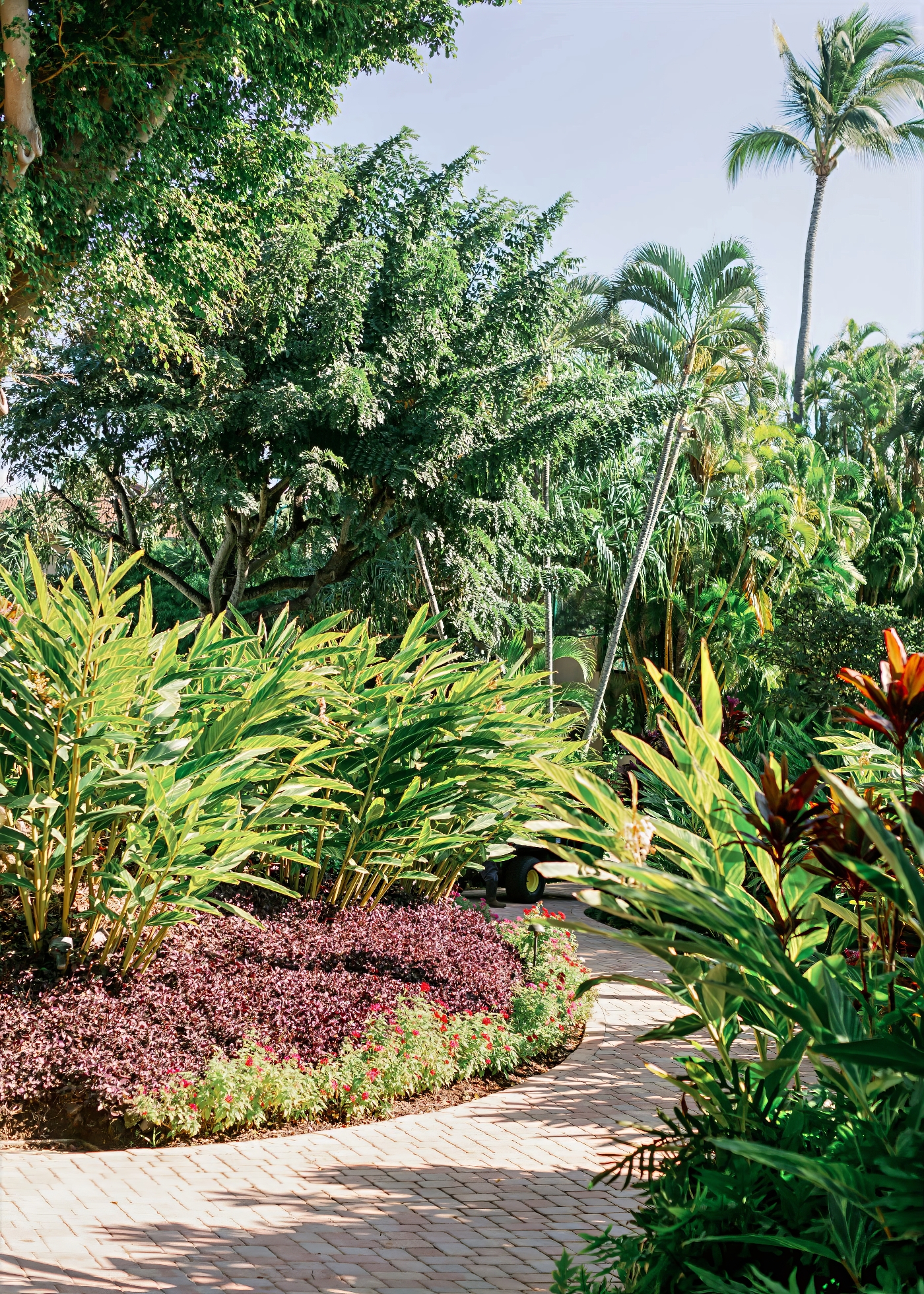 Landscape Design and Installation - He-Man Landscaping