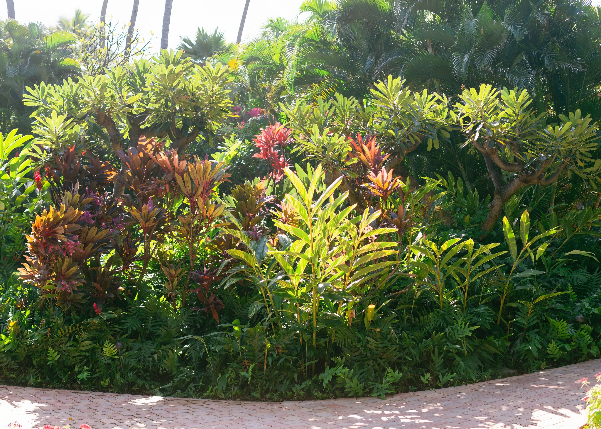 Landscape Maintenance - Treasure Valley Landscape, Idaho