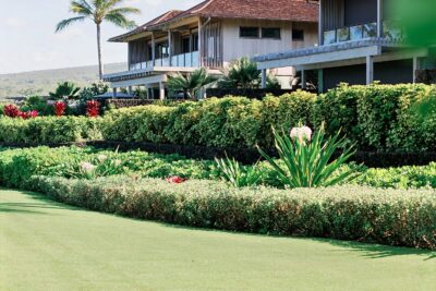 Landscape Maintenance - He-Man Landscaping - HI