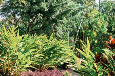 Landscape Maintenance - He-Man Landscaping - HI