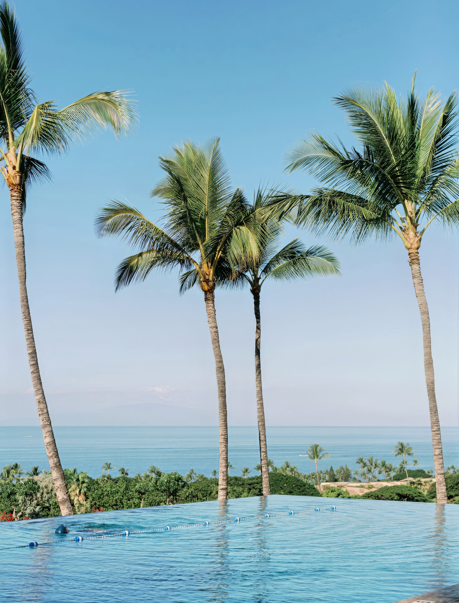 Landscape Design and Installation - He-Man Landscaping