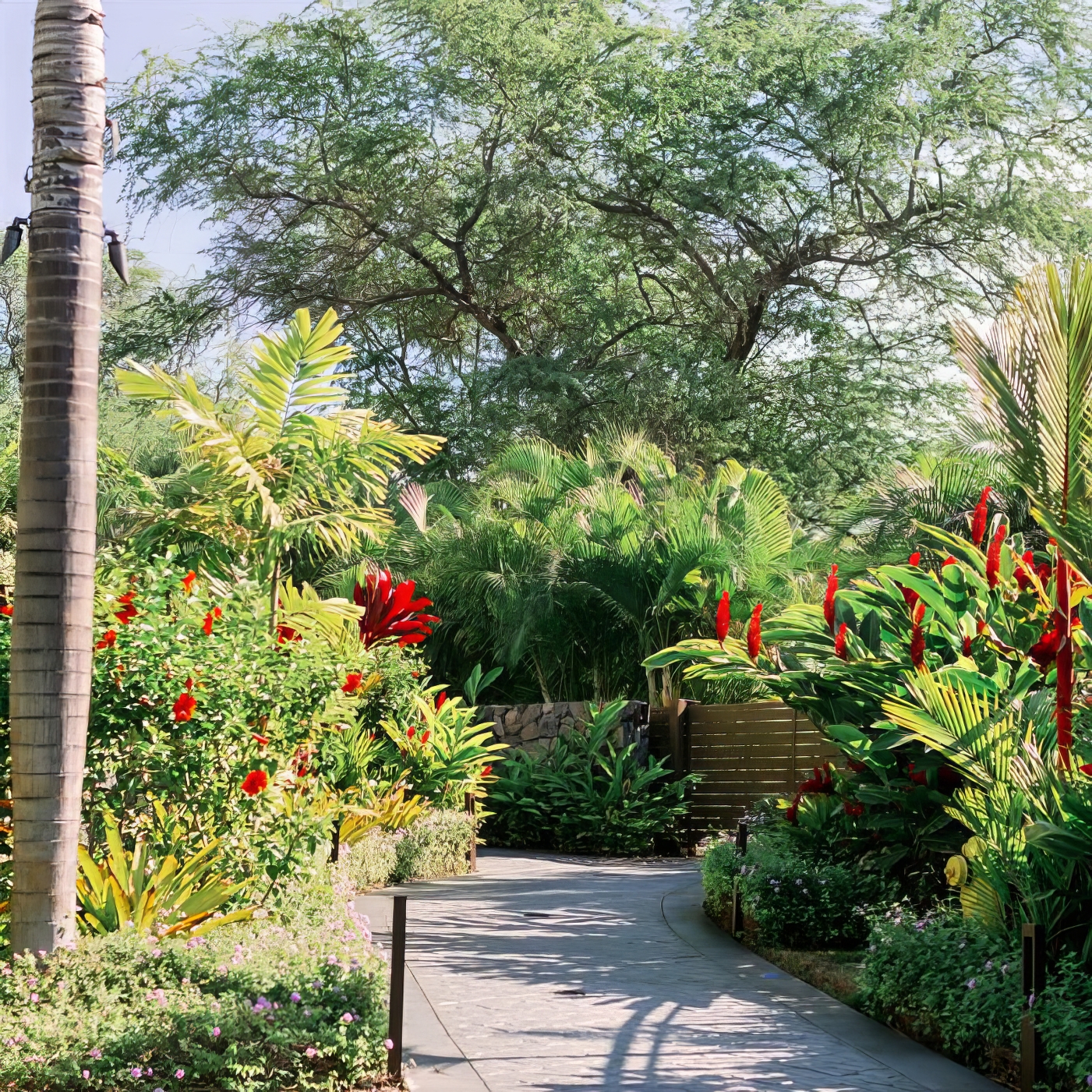 Tree Service - Treasure Valley Landscape