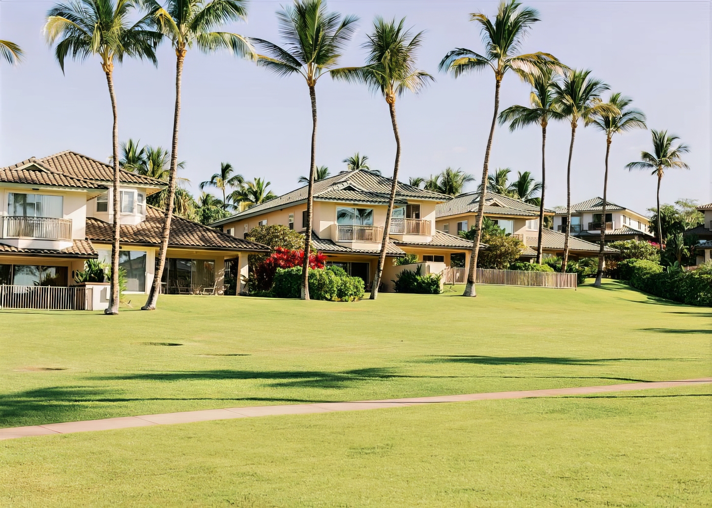 Tree Service - Treasure Valley Landscape Company