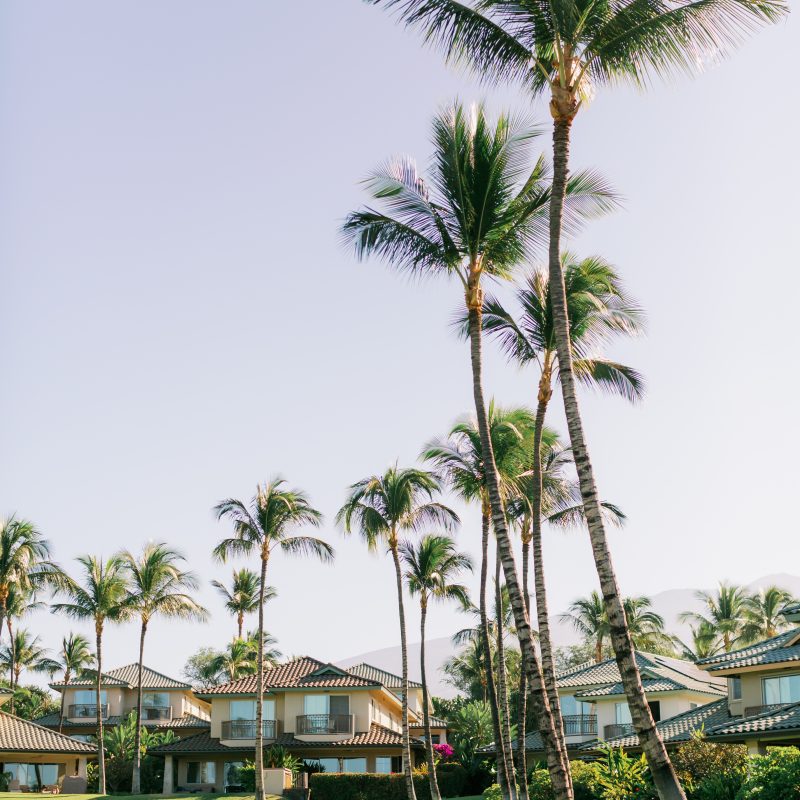 Tree Service - Treasure Valley Landscape